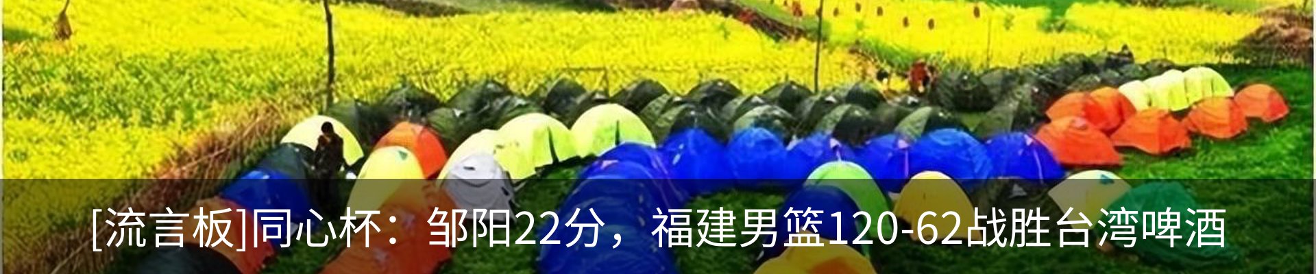 新闻动态